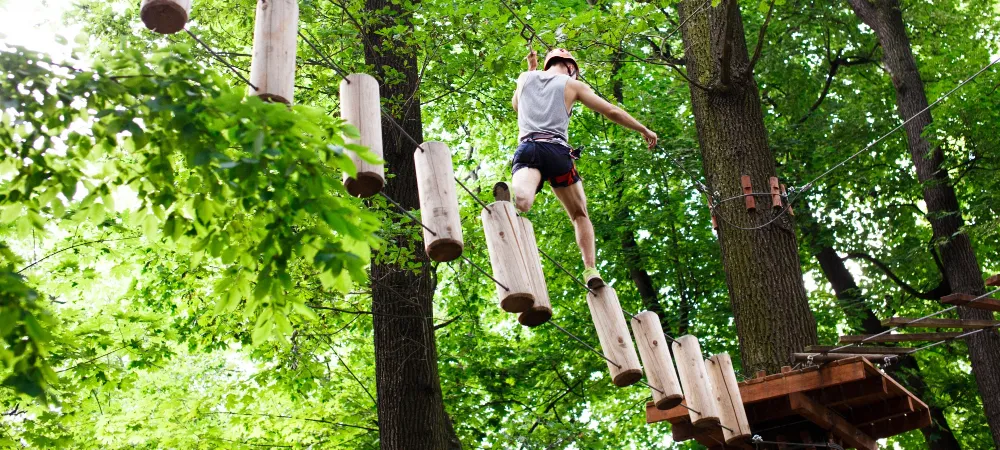 Activité à proximité à Flassans-sur-Issole Activité à proximité à Flassans-sur-Issole