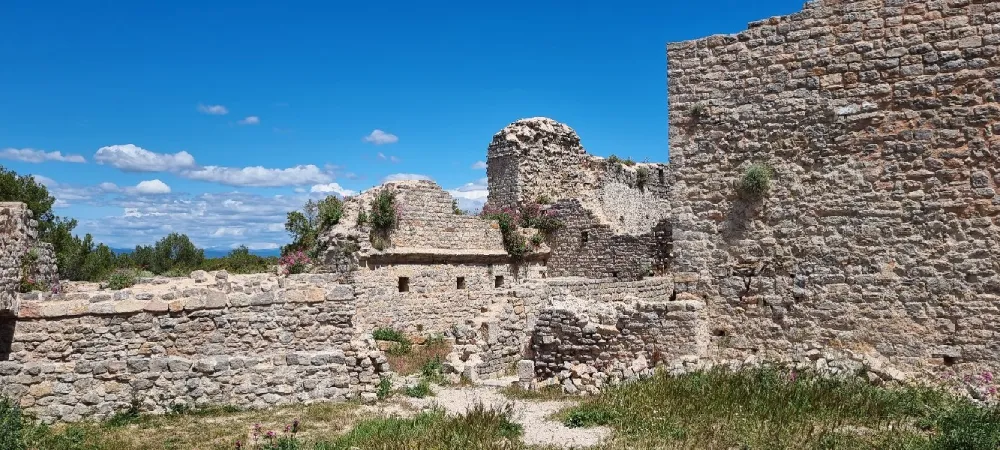 Château des Pontevès Flassans-sur-Issole Château des Pontevès Flassans-sur-Issole