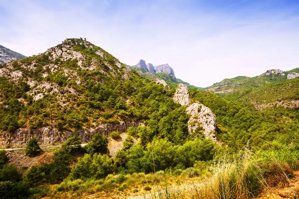 Le Thoronet dans le Var Le Thoronet dans le Var